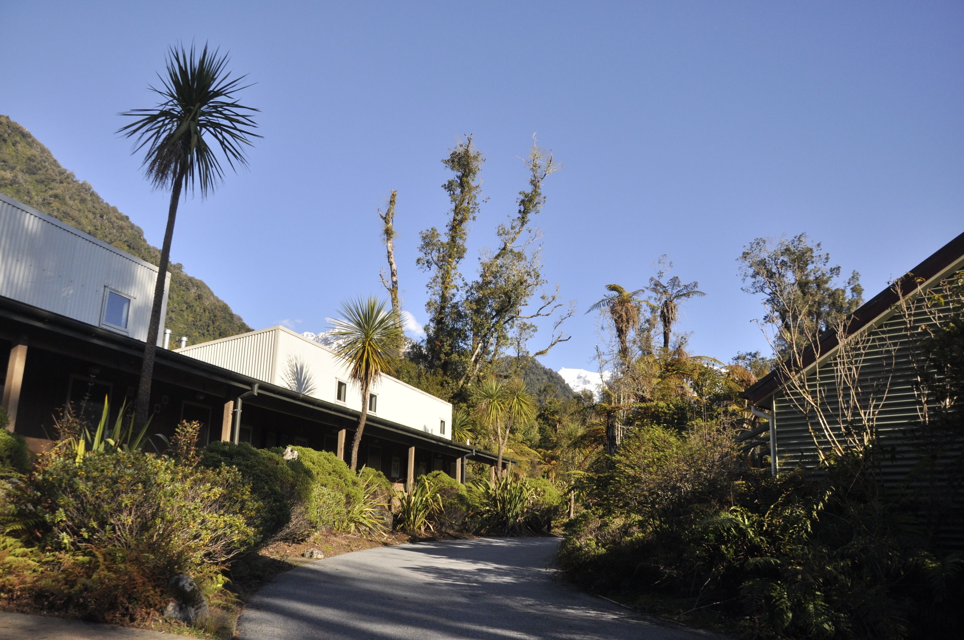 A building with a white exterior, surrounded by lush greenery and a clear blue sky.