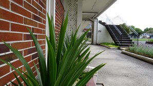 Un bâtiment à la façade en briques, doté d’un escalier et d’un jardinier orné de plantes à feuillage vert.