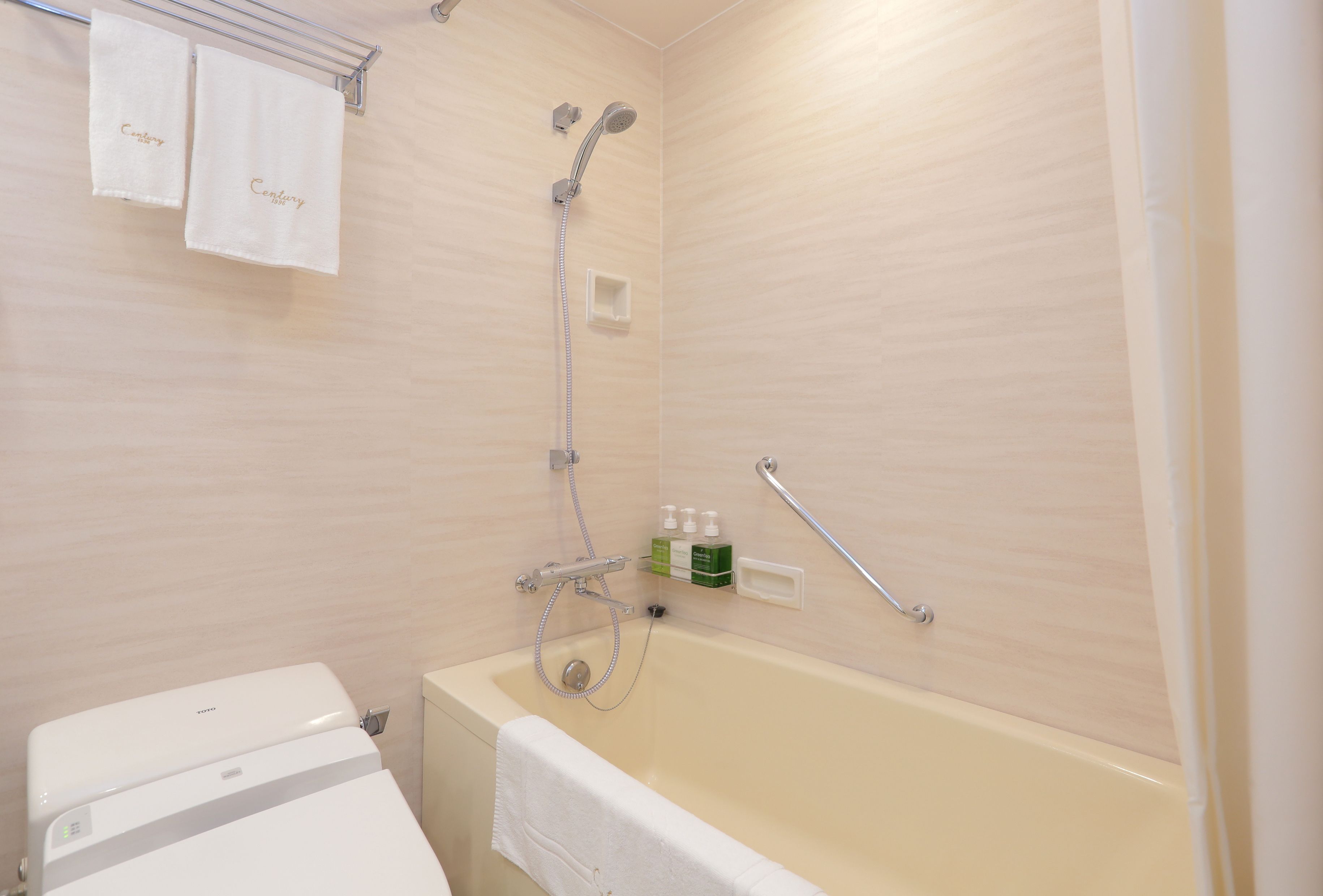 free toiletries, hair dryer, slippers, bidet