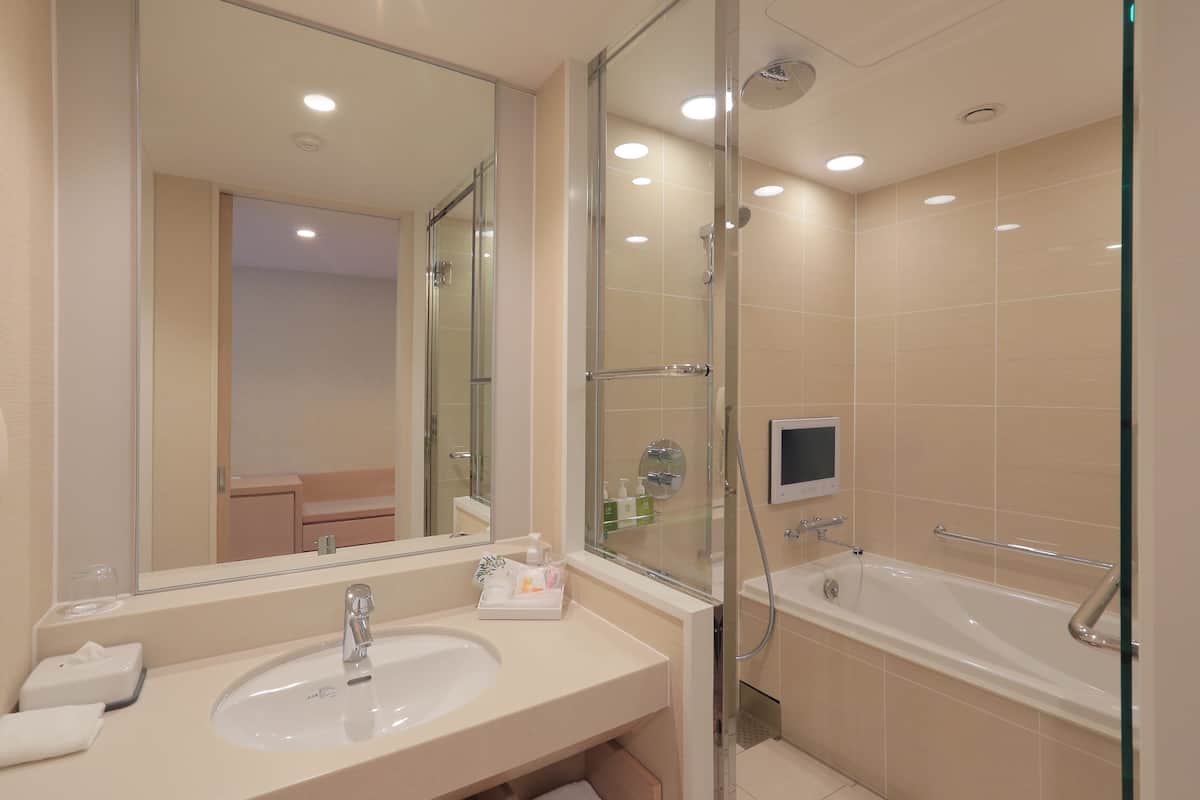 free toiletries, hair dryer, slippers, bidet