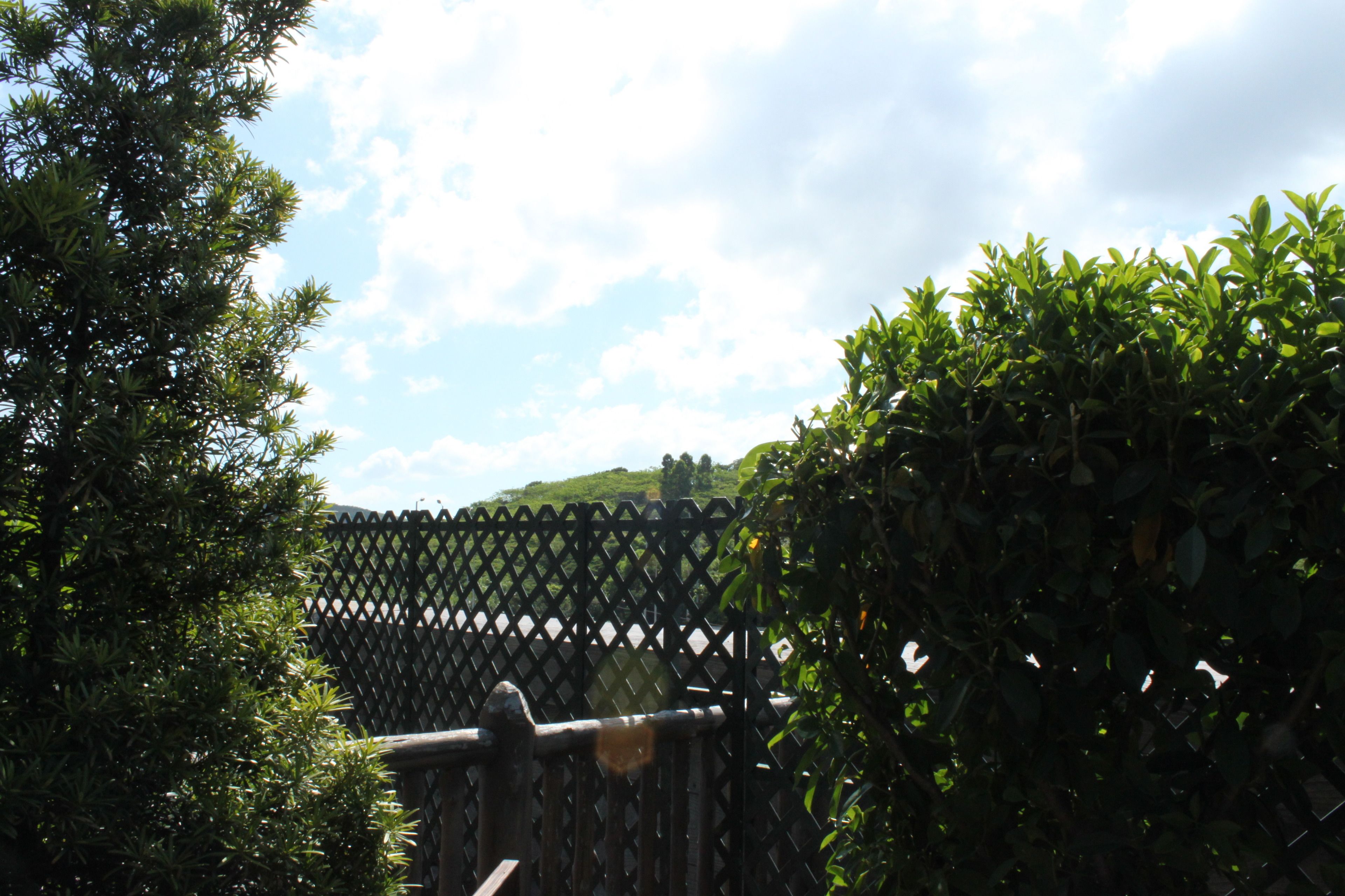 Foto - Noah’s Ark Hotel & Resort