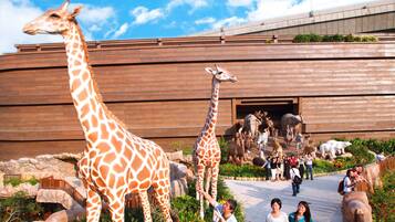 A pathway with giraffes and visitors.