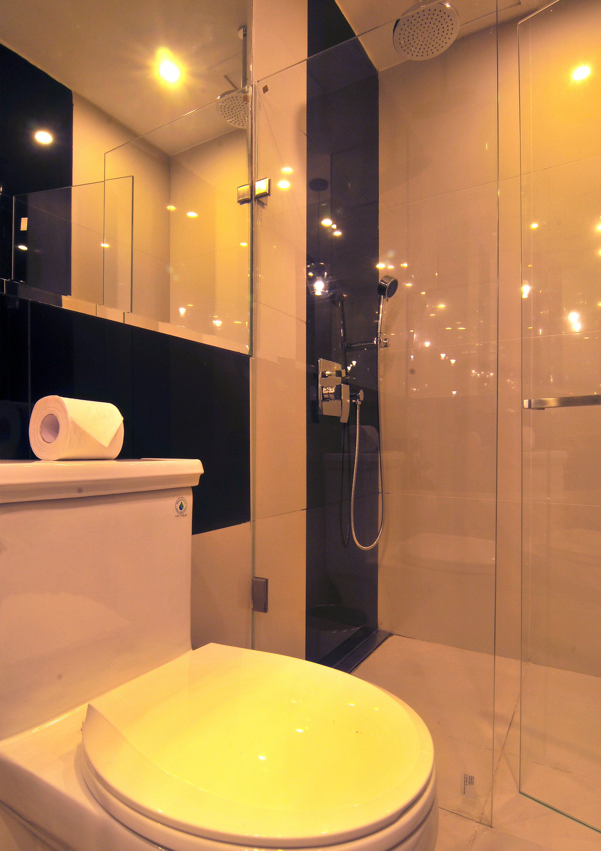 deluxe room | bathroom | shower, rainfall showerhead, free toiletries, hair dryer