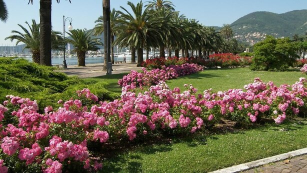 A coastal garden with palm trees and pink flowers, a paved walkway, and a view of the sea and hills in the background. - Affittacamere La Stazione (La Spezia)