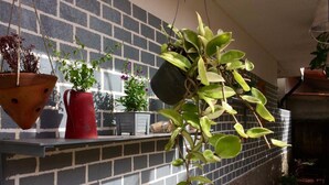 A brick wall with hanging planters and a small white table. - At Lamai Resort (Koh Samui)