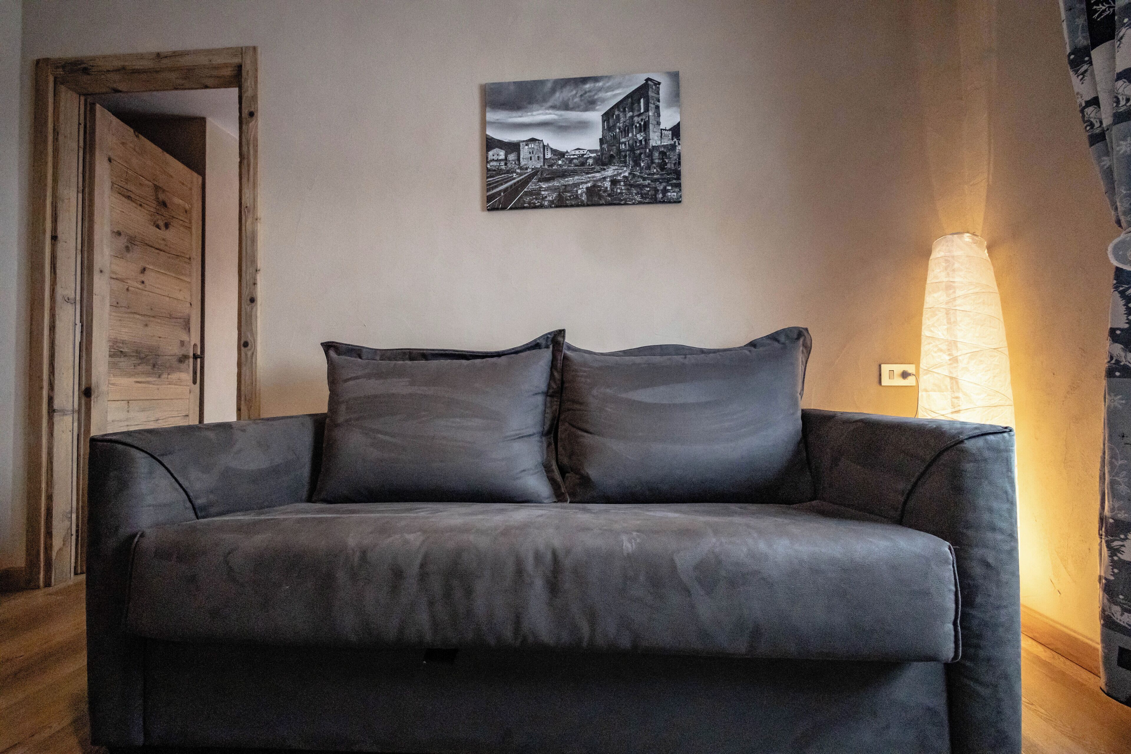 A grey sofa with two cushions in a room with a wooden door and a wall-mounted picture.