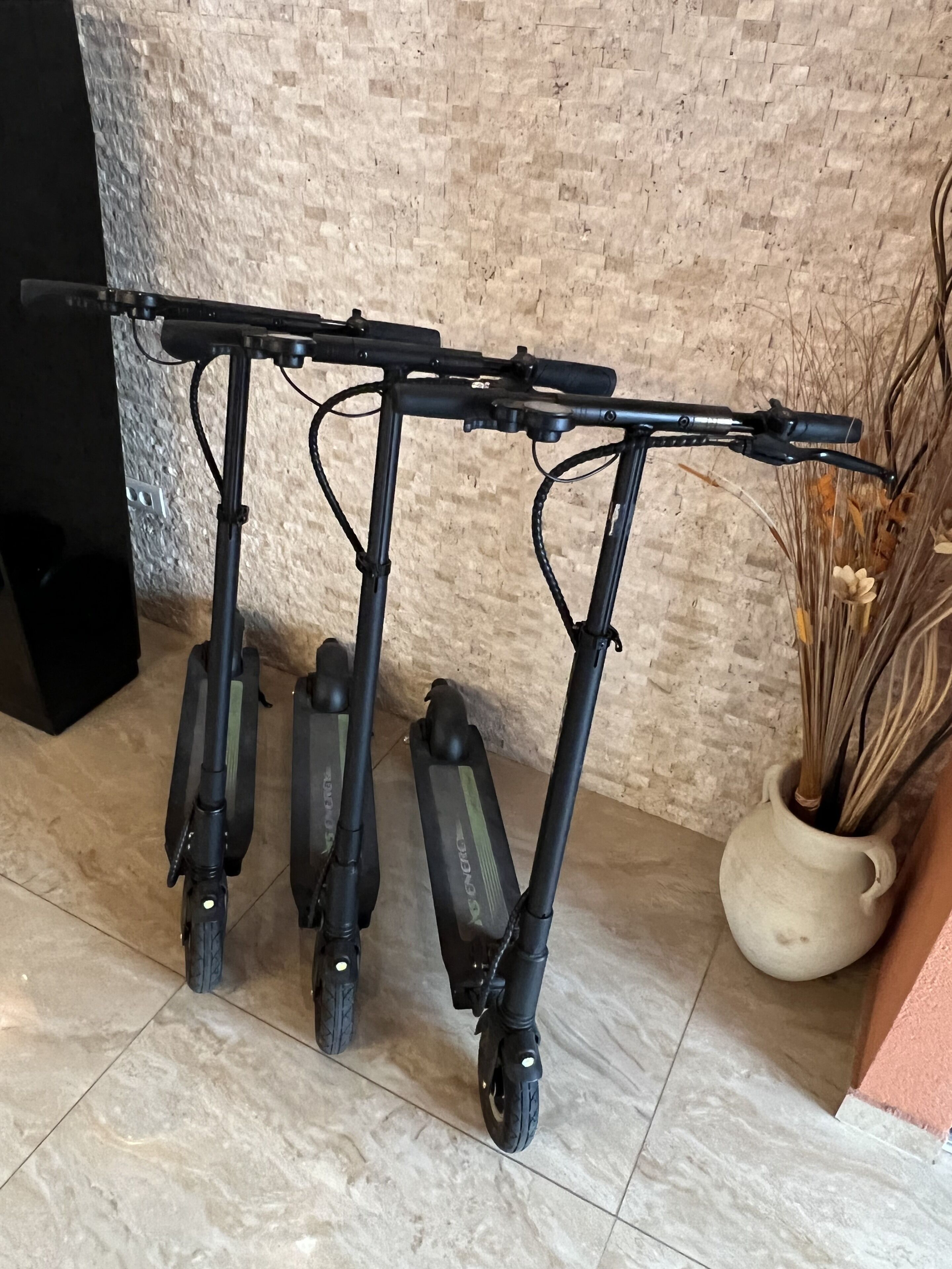 ركوب الدراجات
