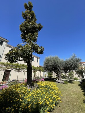 Garden - Casa Caburlotto (Venice)