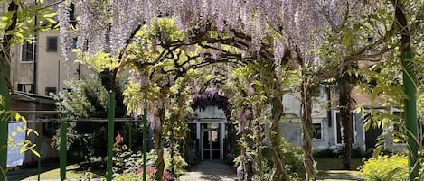 A garden pathway with a pergola covered in purple flowers, leading to a building entrance.