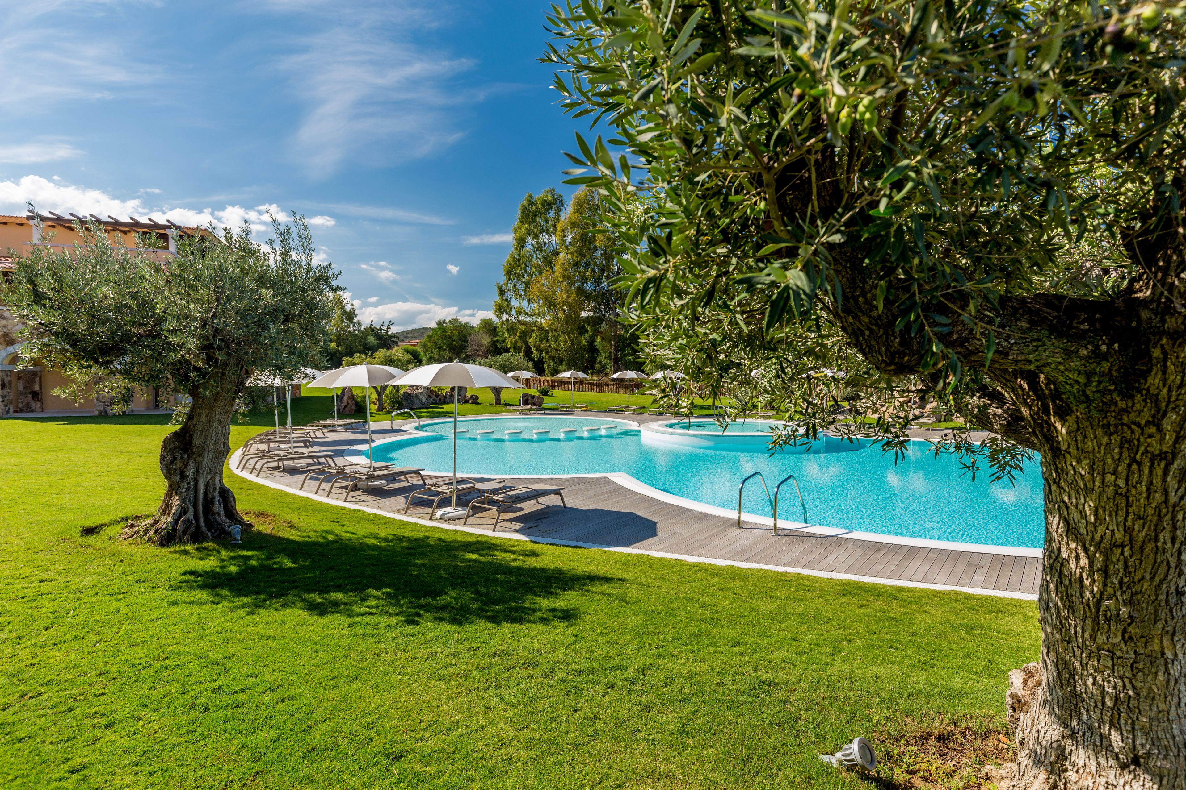 A swimming pool with a wooden deck, surrounded by green grass and trees.