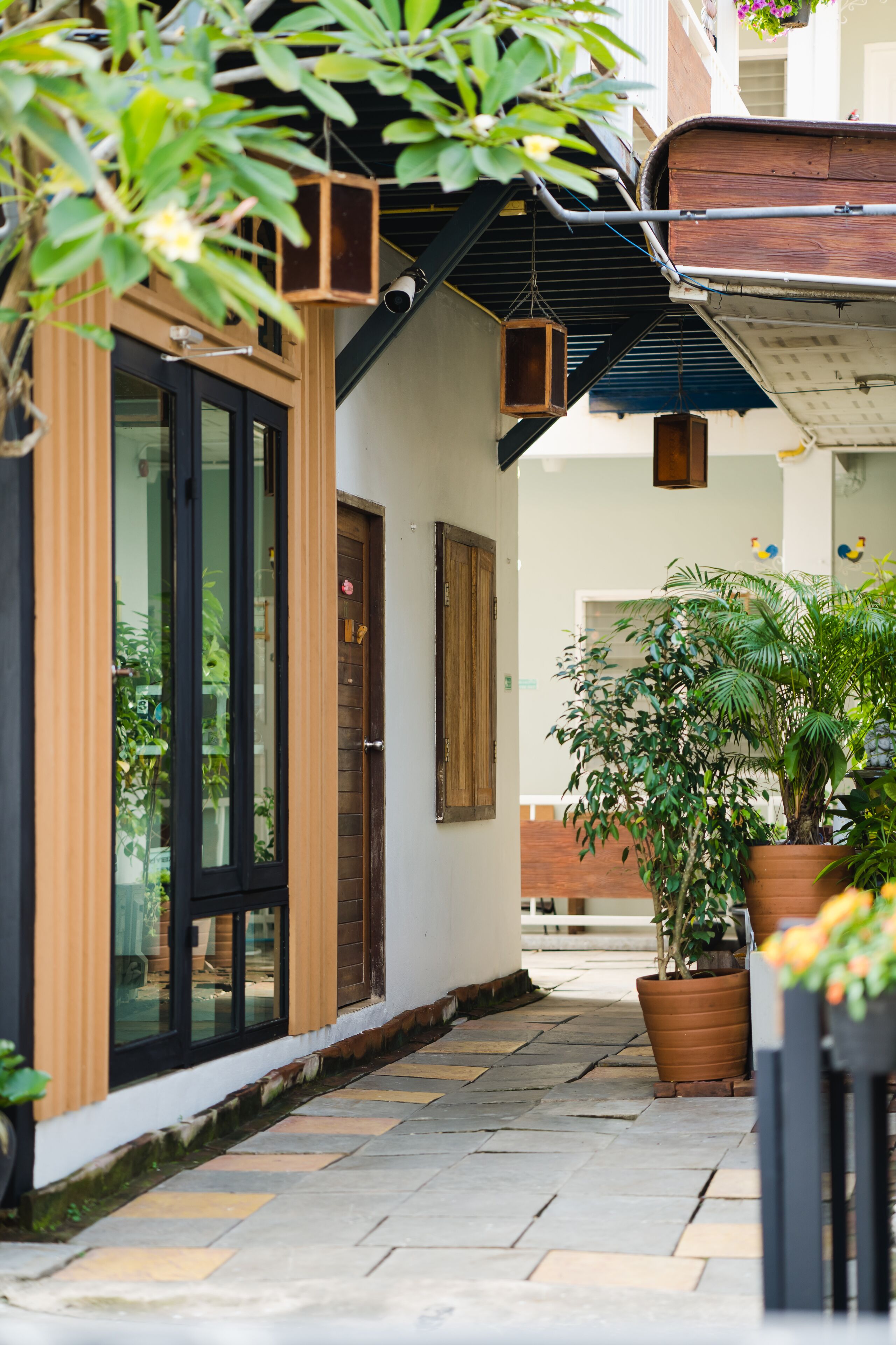 A narrow stone-paved pathway leading to a building with large windows and wooden shutters.