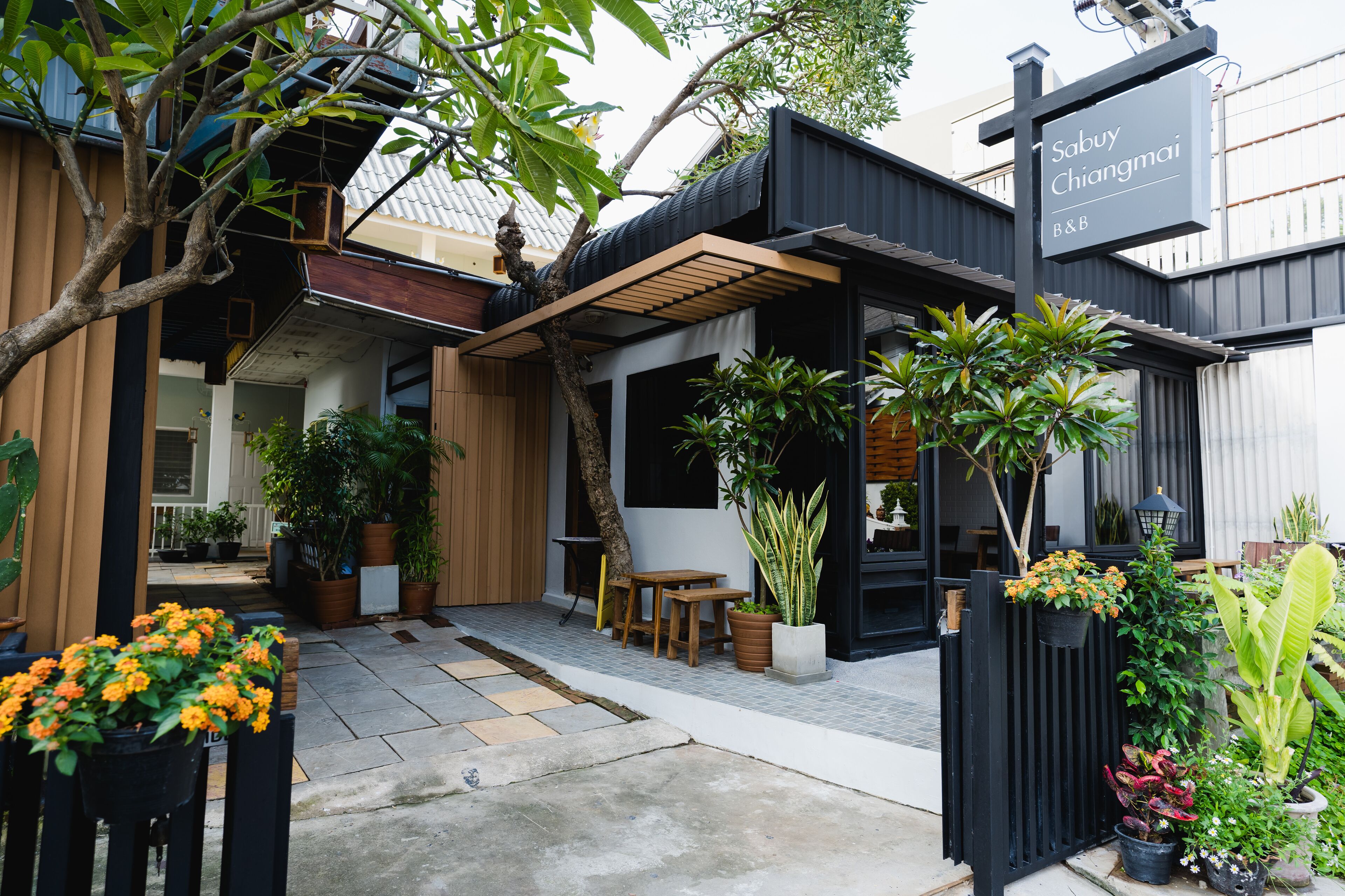 Foto - Sabuy Chiangmai