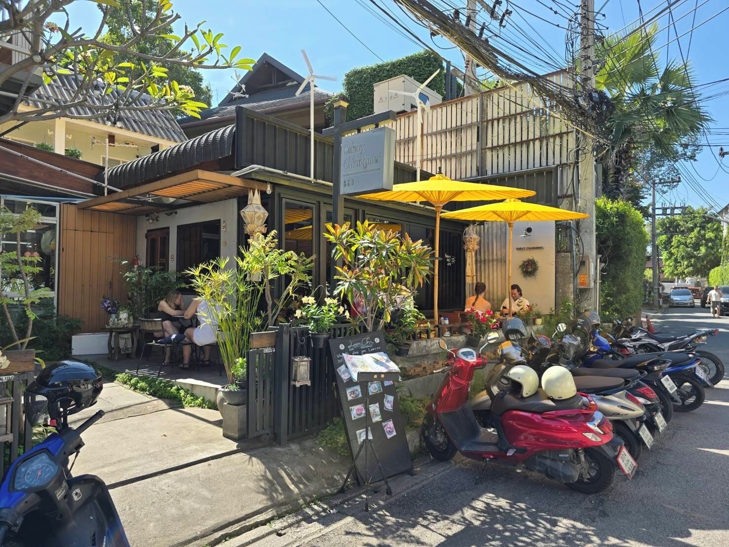Un restaurante con terraza al aire libre, rodeado de macetas con plantas y sombrillas.