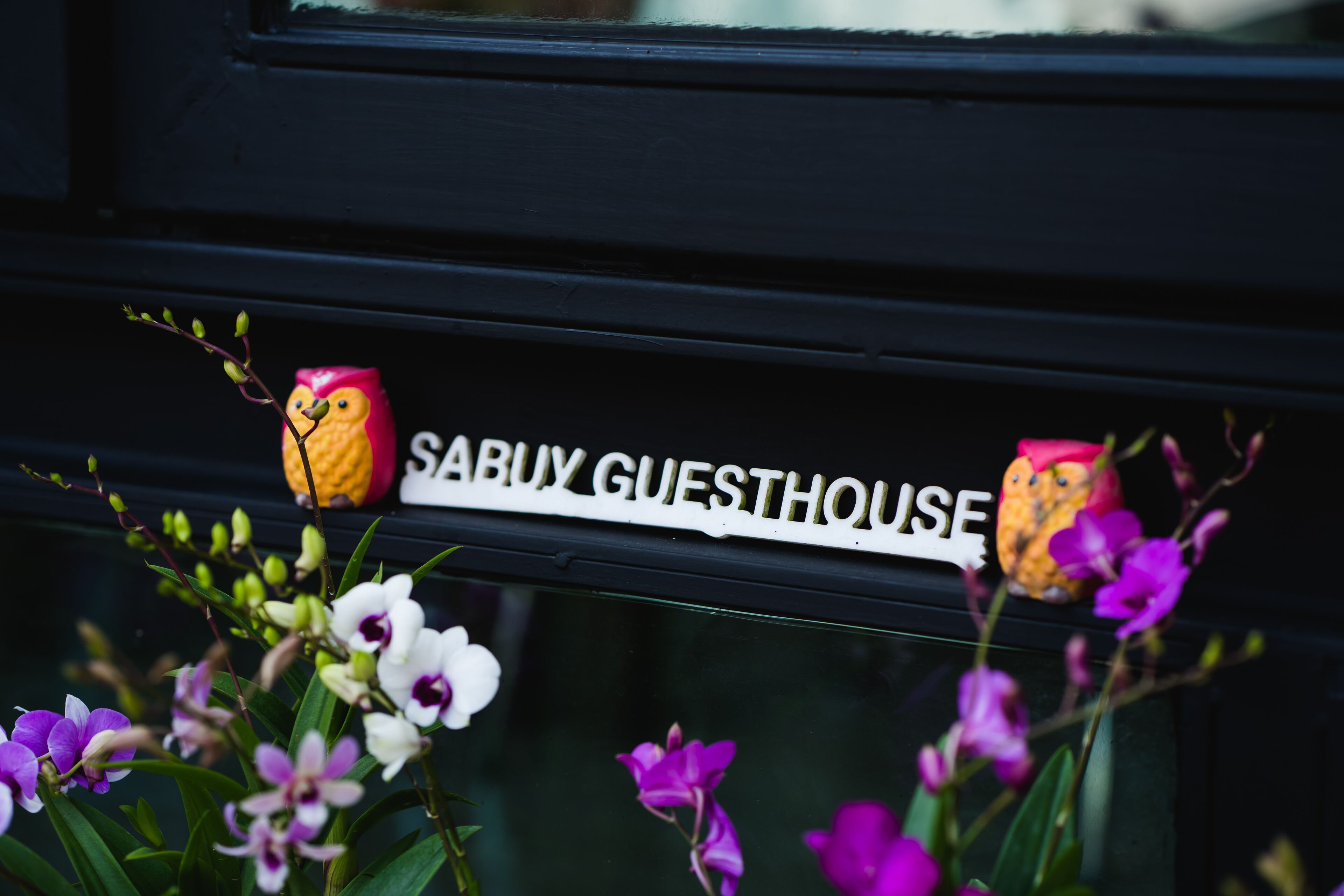 A sign reading "SABUY GUESTHOUSE" with decorative owls and flowers.