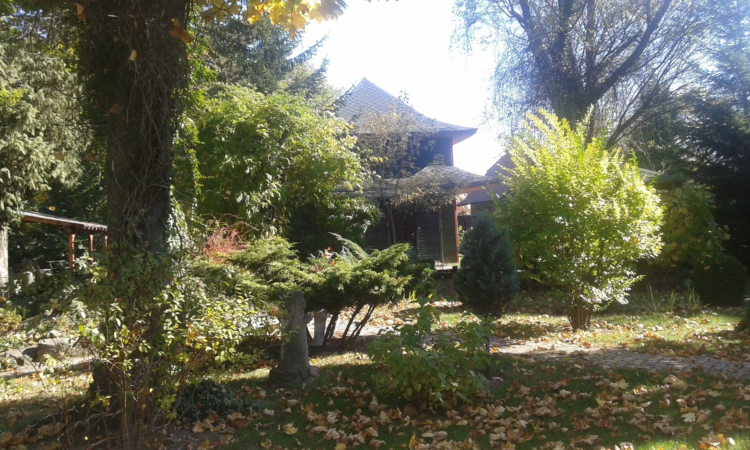 Un bâtiment traditionnel entouré d’arbres et agrémenté d’une pergola en bois.