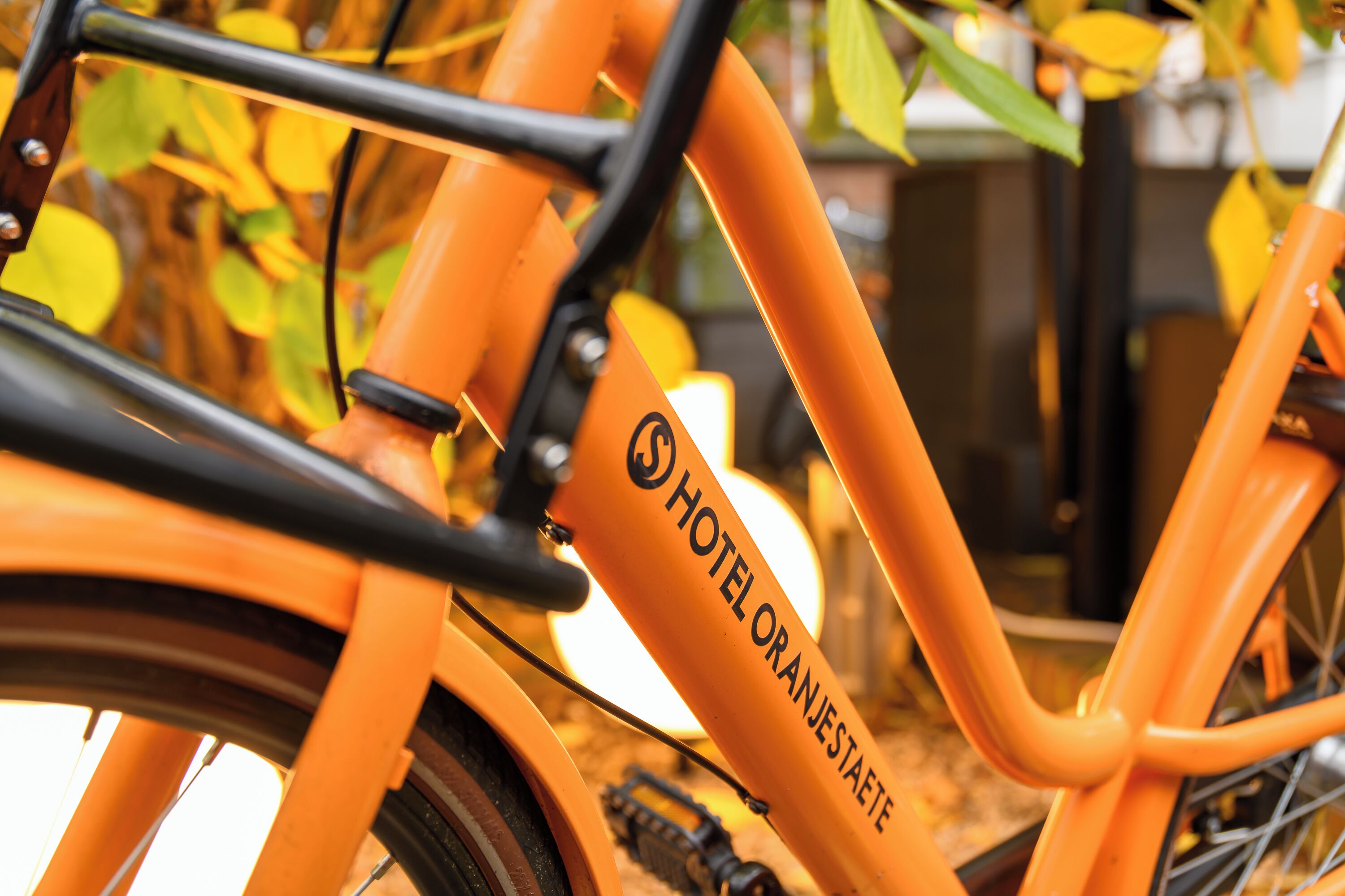 Foto - Hotel Oranjestaete