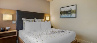 Best Western Plus Sawridge Suites