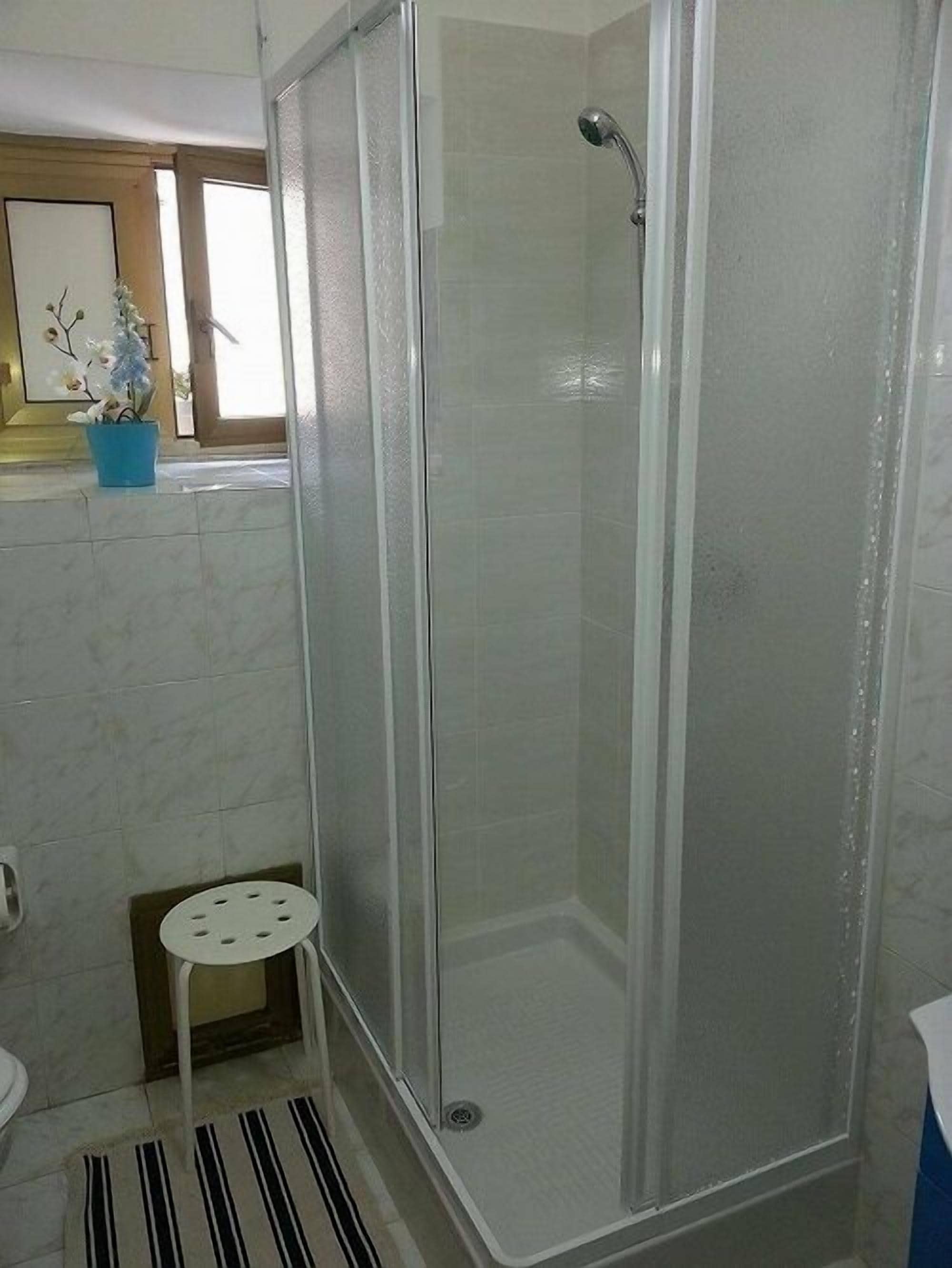 A bathroom with a glass-enclosed shower, a small stool, and a potted plant on the counter.