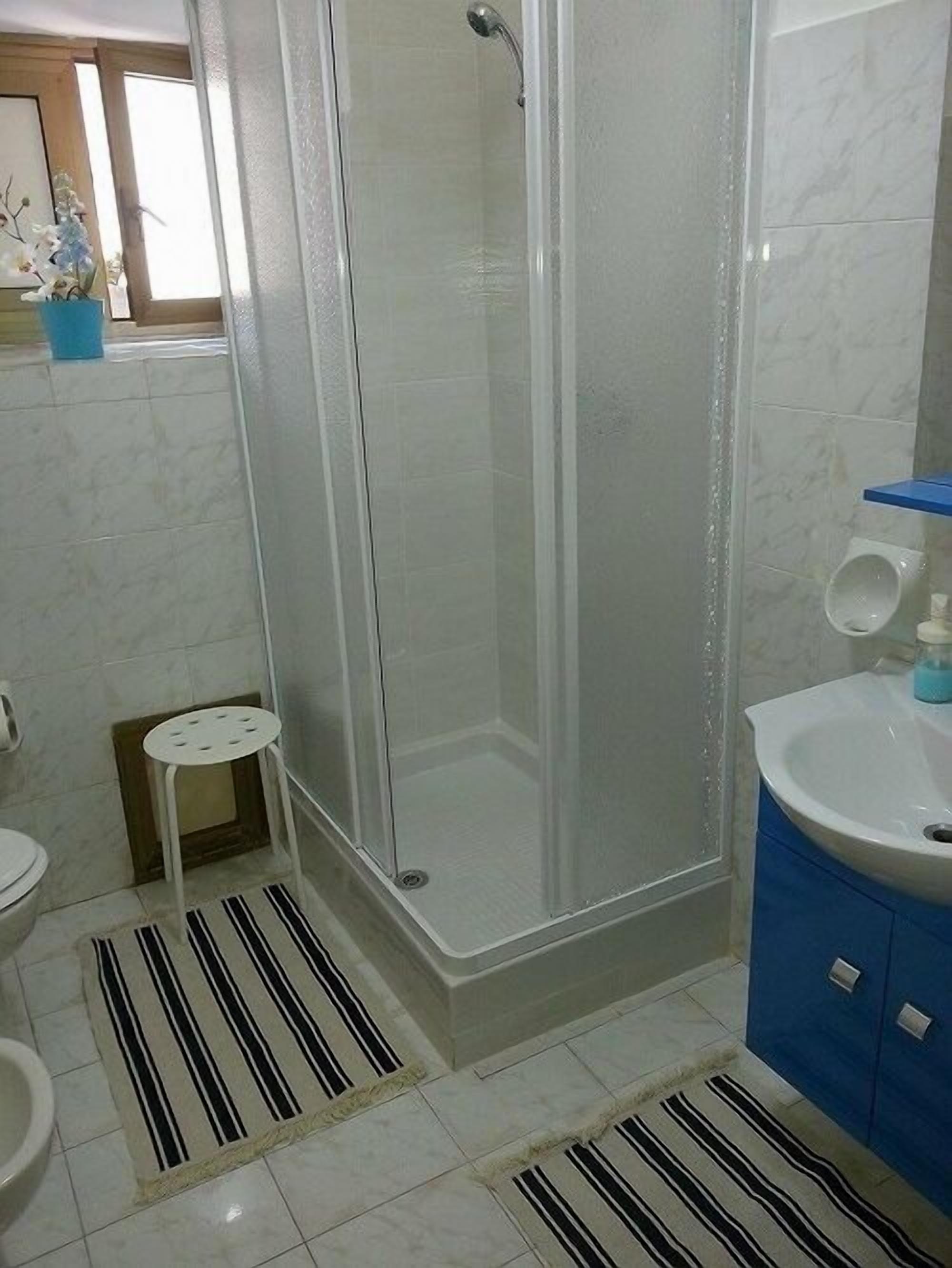 Ein Badezimmer mit einer gläsernen Duschkabine, einer weißen Toilette, einem kleinen weißen Hocker, einem blauen Schrank und einem Streifen Teppich.