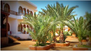 Unclassified image, 4 of 36, button - Shams Hotel & Dive Centre (Dahab)