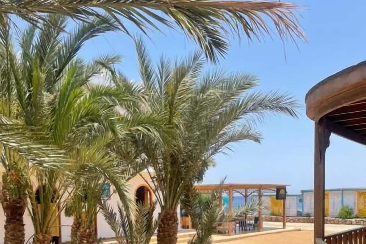 Habitación estándar doble, vistas al jardín | Caja fuerte, wifi gratis, ropa de cama