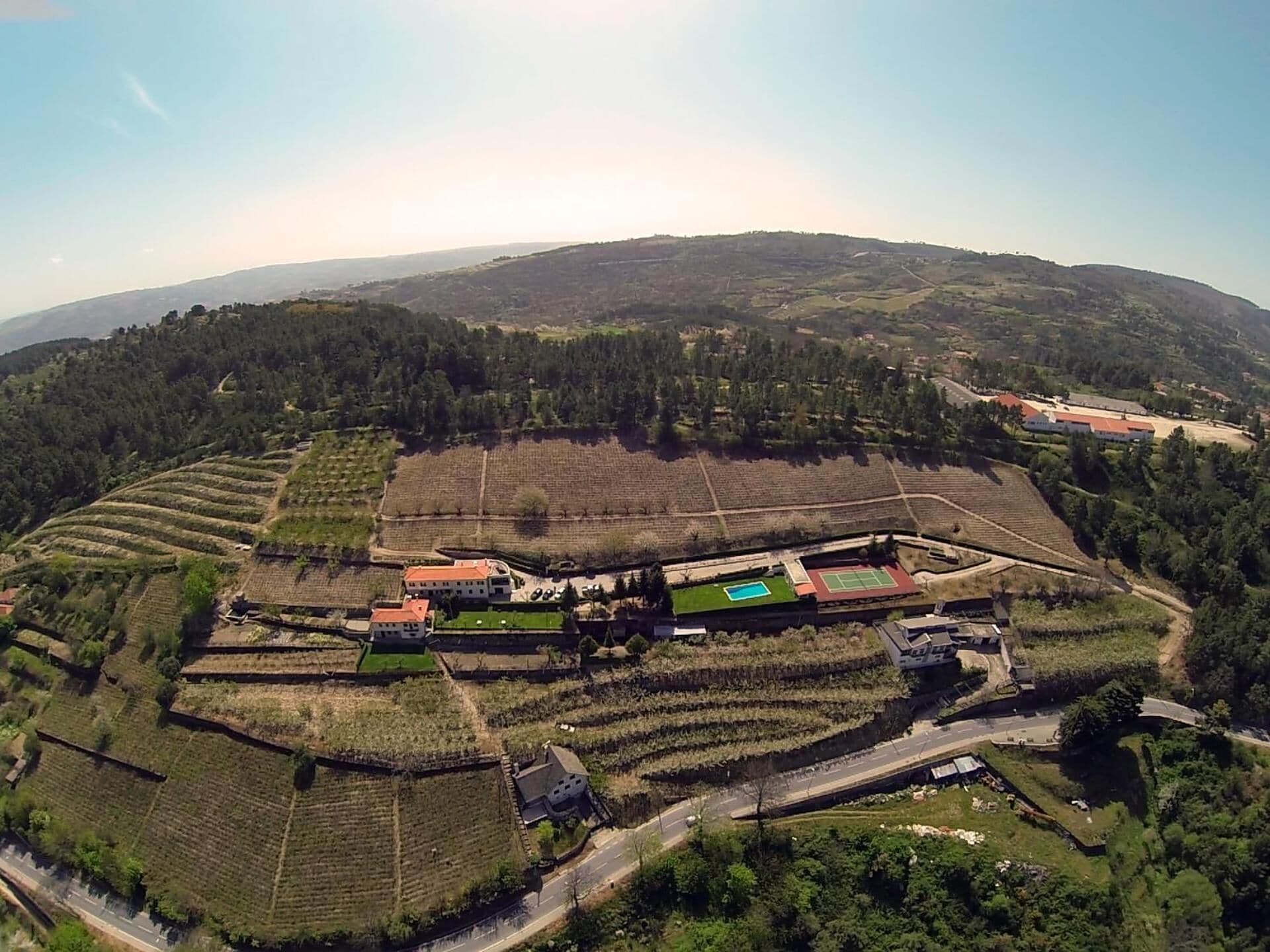 An aerial view of a vineyard with terraced fields, a swimming pool, tennis courts, and a few buildings.
