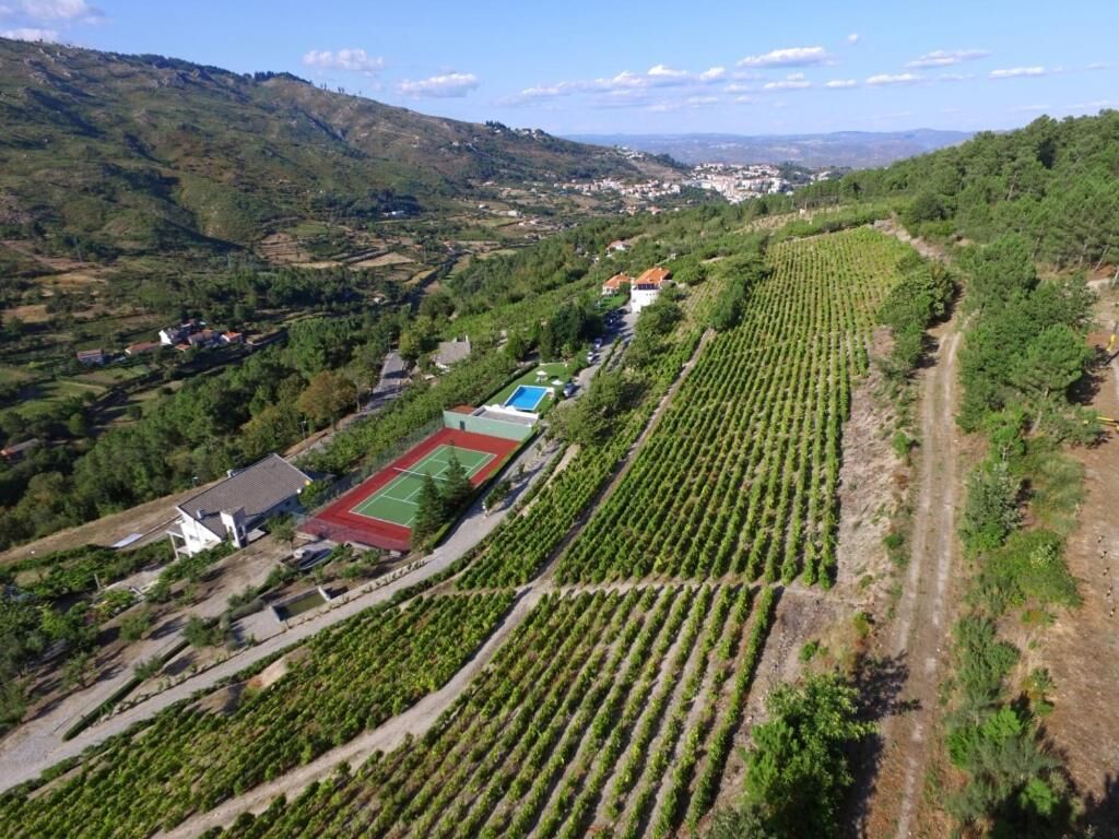 Vista aérea de um vinhedo com fileiras de videiras, uma quadra de tênis e edifícios ao fundo.