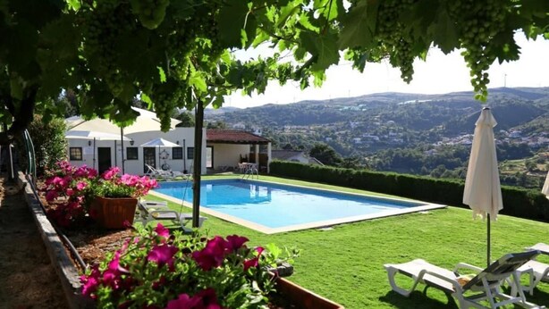 Une piscine avec vue sur la campagne, entourée d’une pelouse bien entretenue et de plantes en pot.