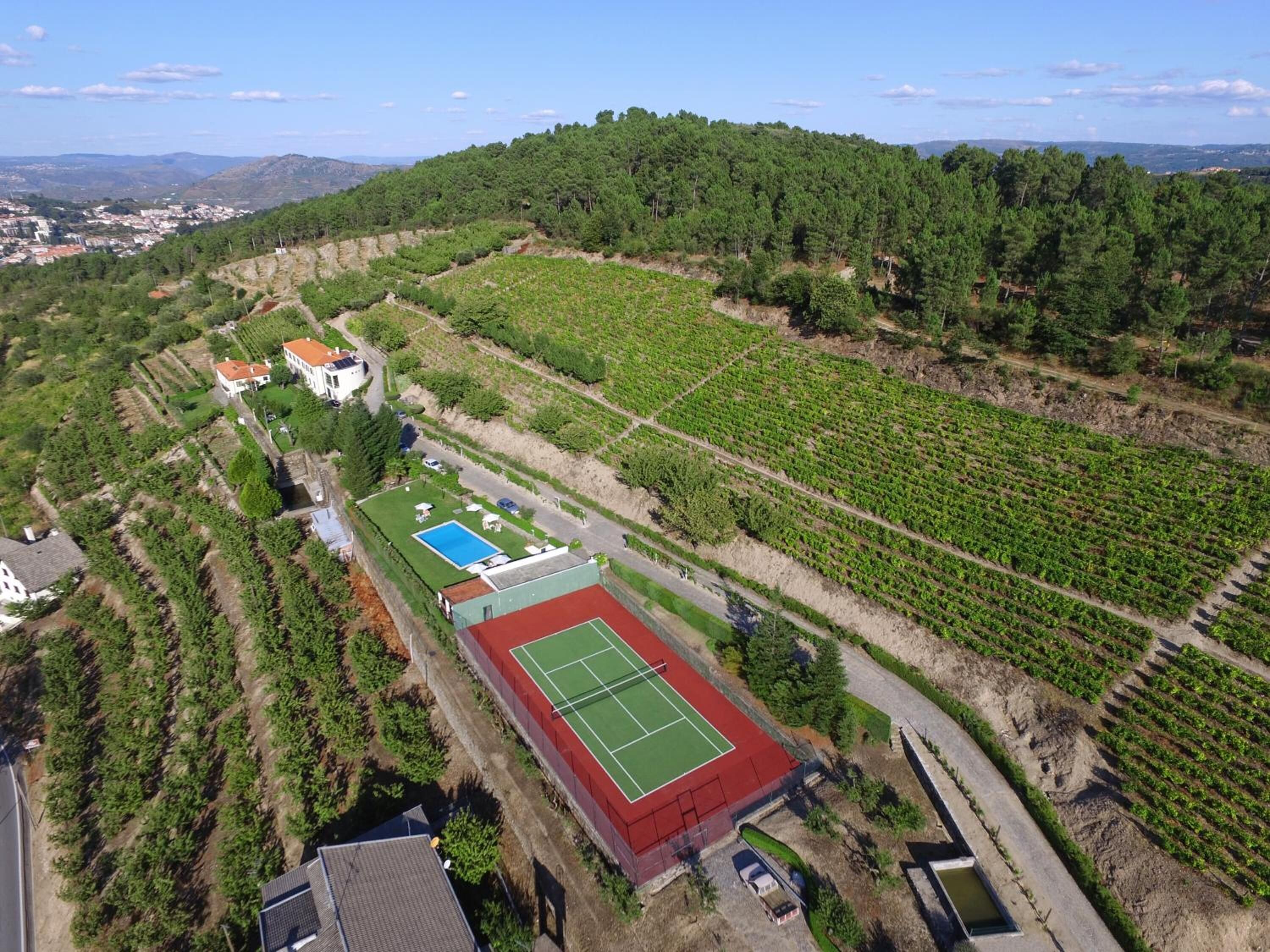 An aerial view of a vineyard with rows of grapevines, a tennis court, and residential buildings.