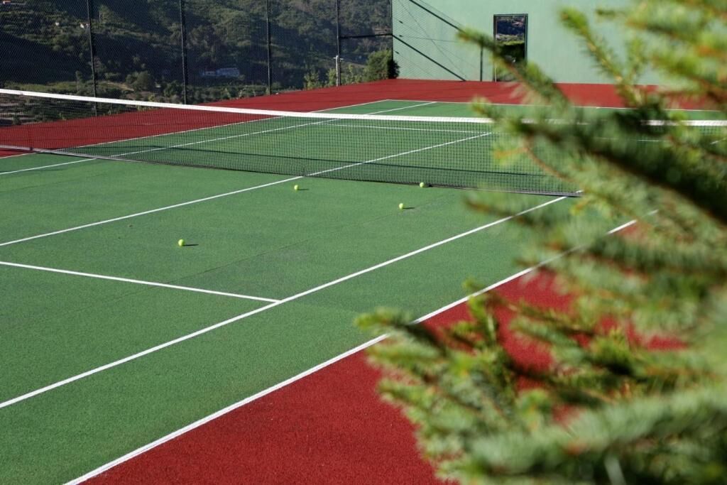 Campionat de tennis amb xarxa, superfícies de joc verd i vermell, i algunes pilotes de tennis.
