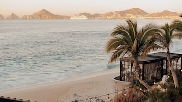 Vista de una playa con un pabellón, palmeras y un crucero a lo lejos.