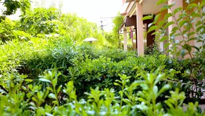 A lush garden area with dense greenery and a building with a balcony. - Hotel Royal Bon Repos (Sainte-Maxime)