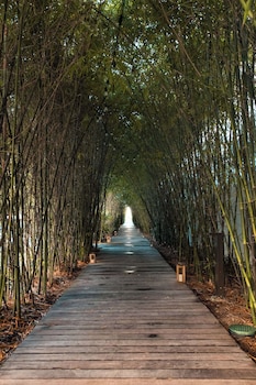 Hotel Exterior at Nautilus Sonesta Miami Beach