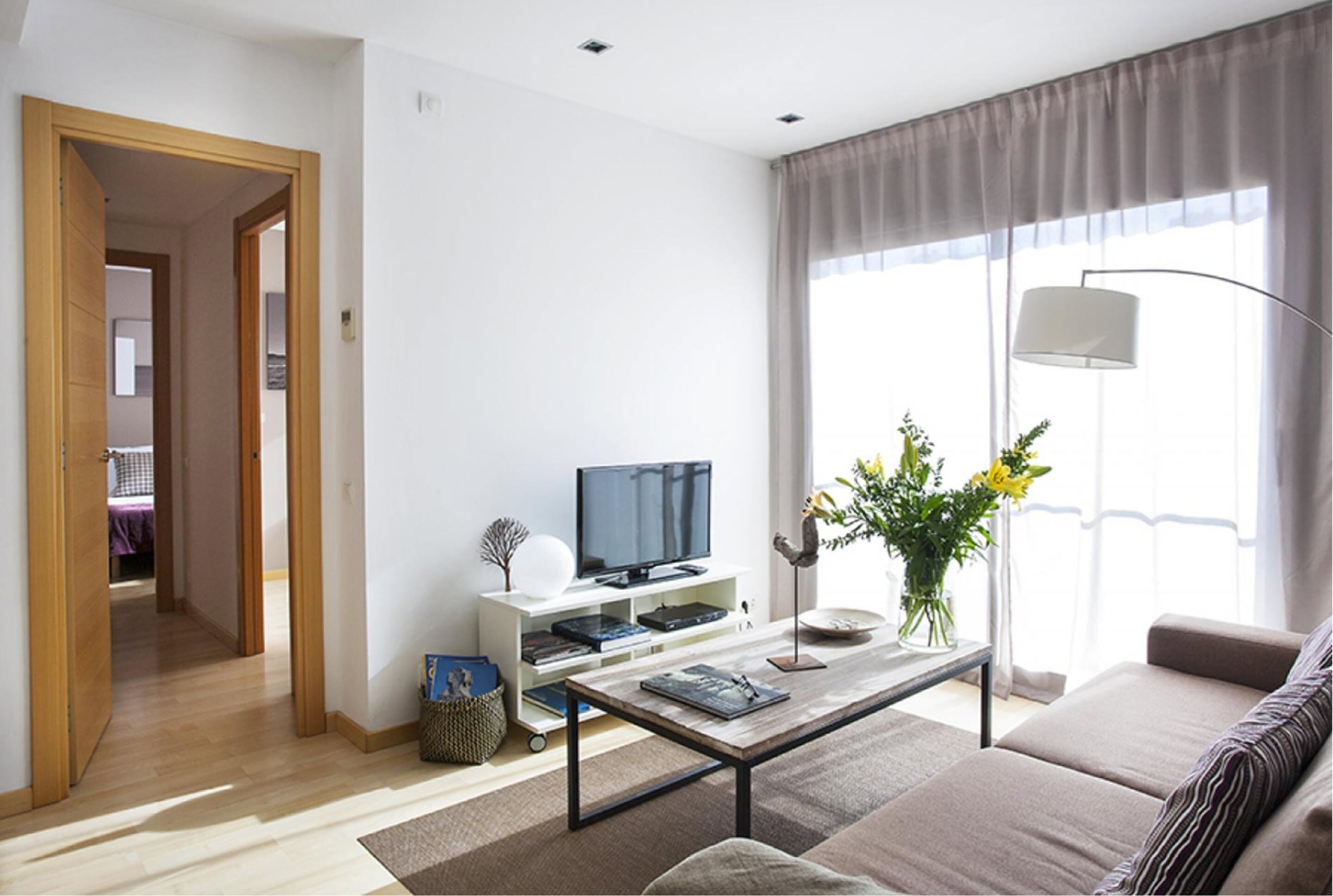 Smart TV, Netflix y reproductor de DVD 