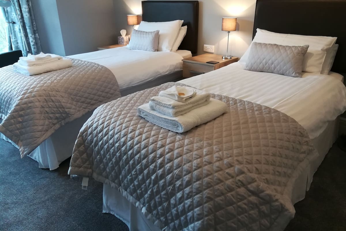 Double or Twin Room (Room 2) | Iron/ironing board, WiFi (free), bed sheets