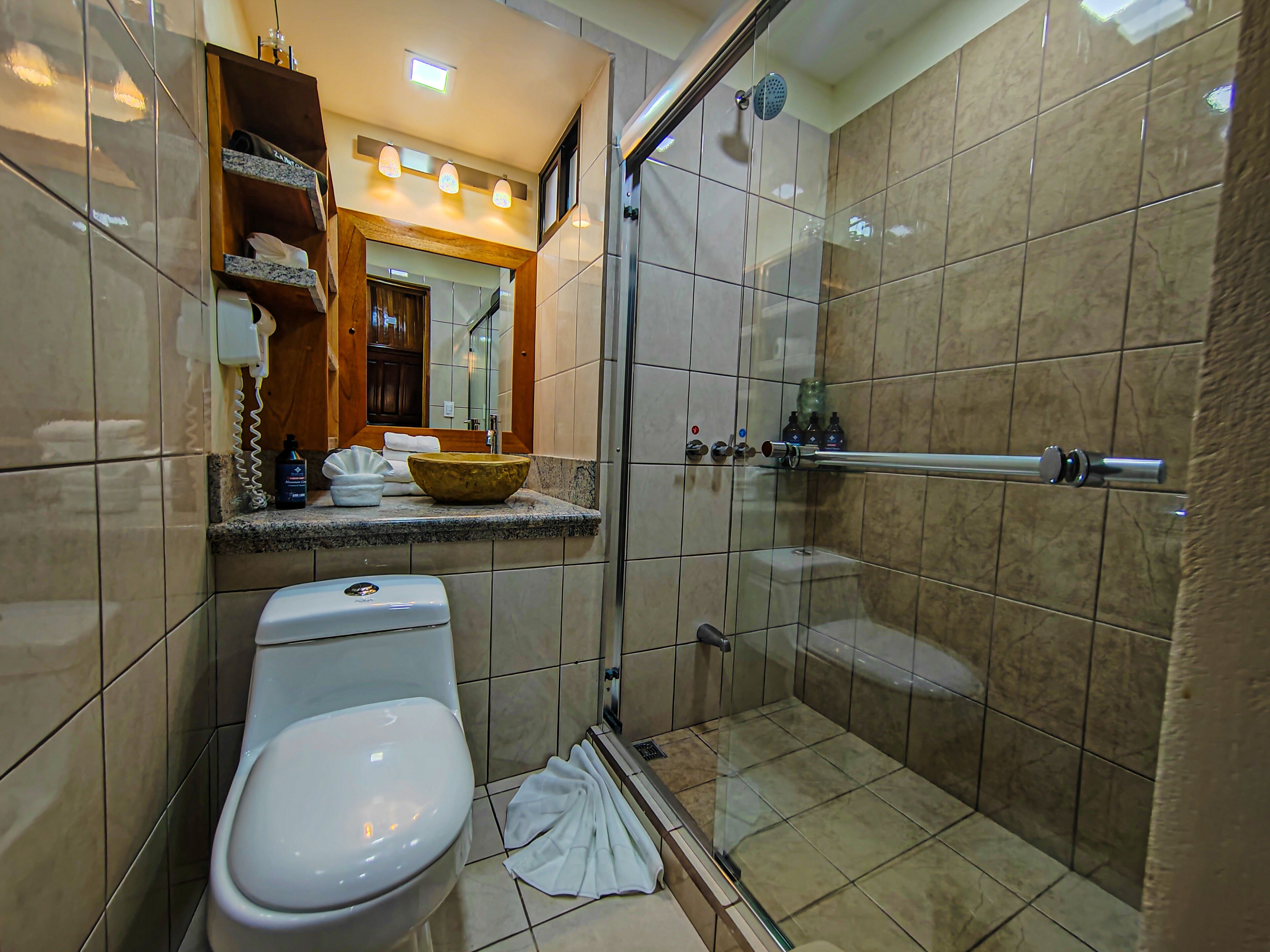 A modern bathroom with a glass-enclosed shower, a toilet, and a vanity with a bowl sink.