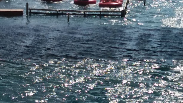 Un'attrazione acquatica con barche rosse e un ponte sullo sfondo.