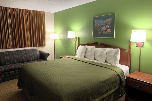 Standard Room, 1 King Bed, Non Smoking | Desk, iron/ironing board, rollaway beds (free), WiFi (free)