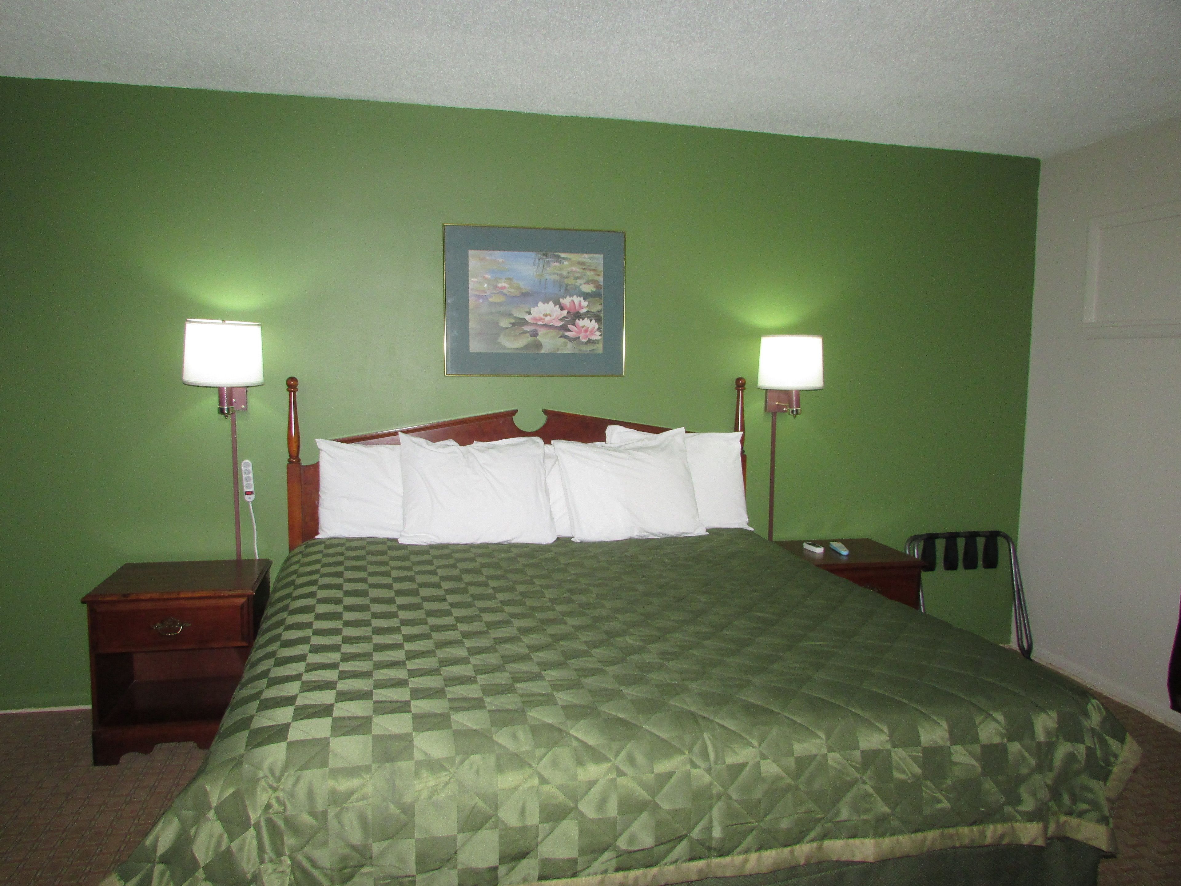Habitación de hotel con una pared verde, una colcha a cuadros, dos lámparas de noche, una mesita de noche y un cuadro sobre la cama.