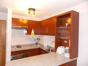 Full-sized fridge, microwave, oven, coffee/tea maker