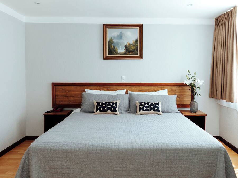 Habitación con cama king, sin aire acondicionado | Ropa de cama de alta calidad, edredón y escritorio