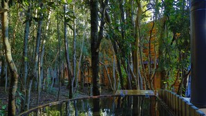 Un jardín interior tranquilo con un elemento acuático reflectante, rodeado de árboles altos y estructuras de madera.