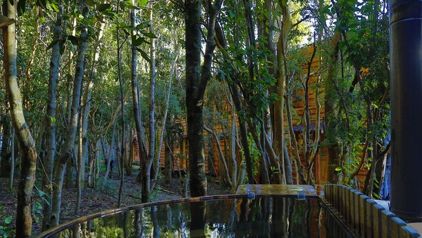 Un jardín interior tranquilo con un elemento acuático reflectante, rodeado de árboles altos y estructuras de madera.