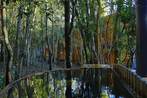 Cabañas Ensenada Bosque Nativo