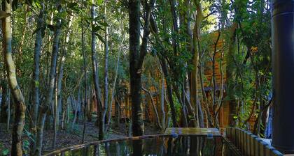 Cabañas Ensenada Bosque Nativo