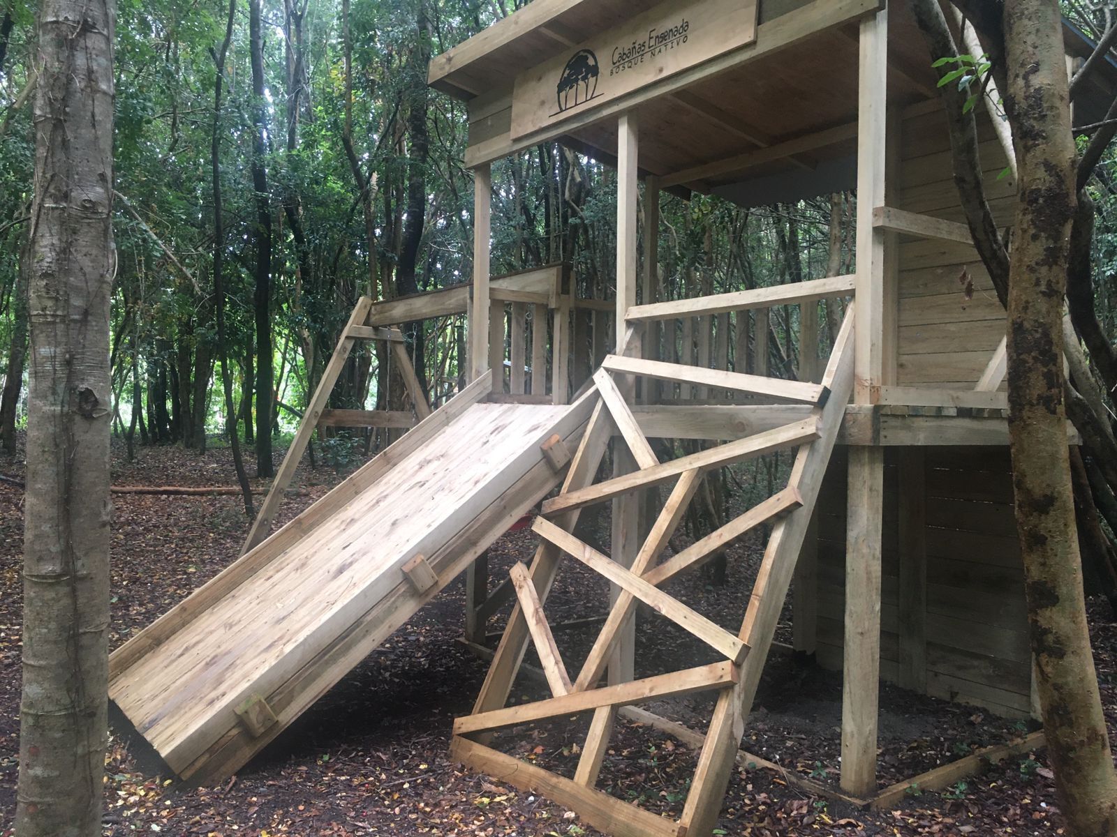 Une structure en bois avec un toboggan, entourée d’arbres.