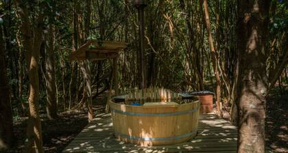 Cabañas Ensenada Bosque Nativo