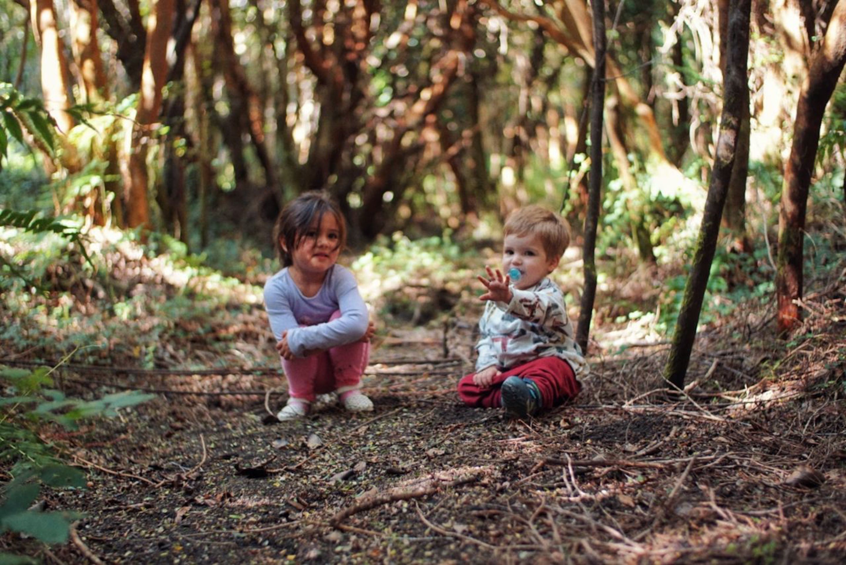 Two children sitting on a forest floor surrounded by trees.