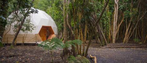 A geodesic dome structure surrounded by dense forest.