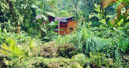 Mindo Garden Lodge
